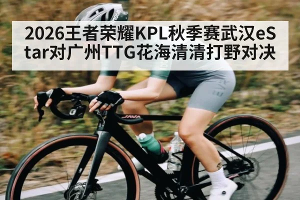 2026王者荣耀KPL秋季赛武汉eStar对广州TTG花海清清打野对决